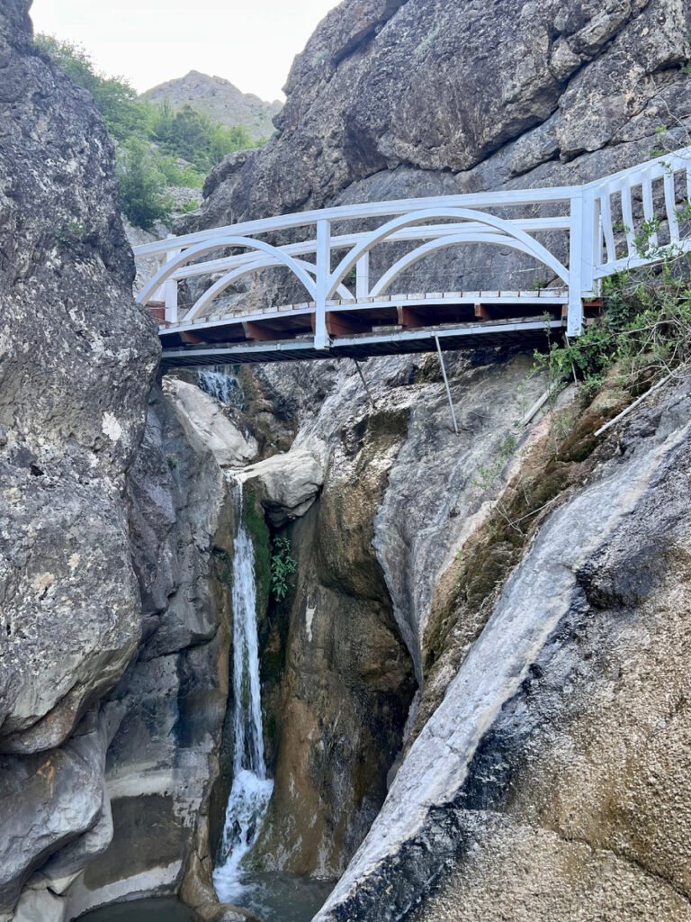scale_1200 (10)