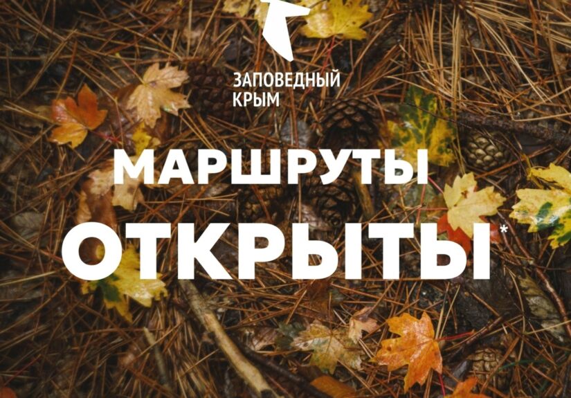 luNh7805z1yHxS1P9hOOGn5yi1TpdMbN3Pza_fLcZRUVVcJIjAk-RJN__4DgUIzKhapLbLCmxJ1OGeDVXYIbouQ2V0j1tA